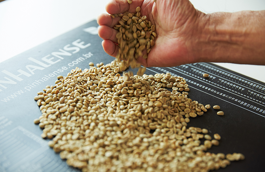 専属の珈琲鑑定士が厳選したコーヒー豆